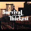 Michelle Buteau: Survival of the Thickest