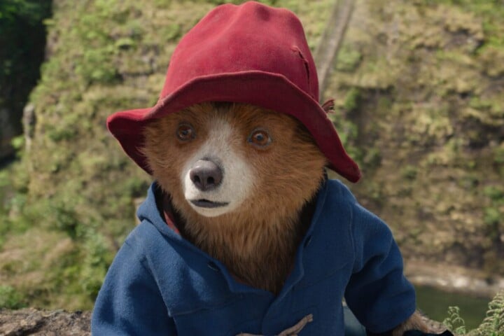 Paddington in Peru