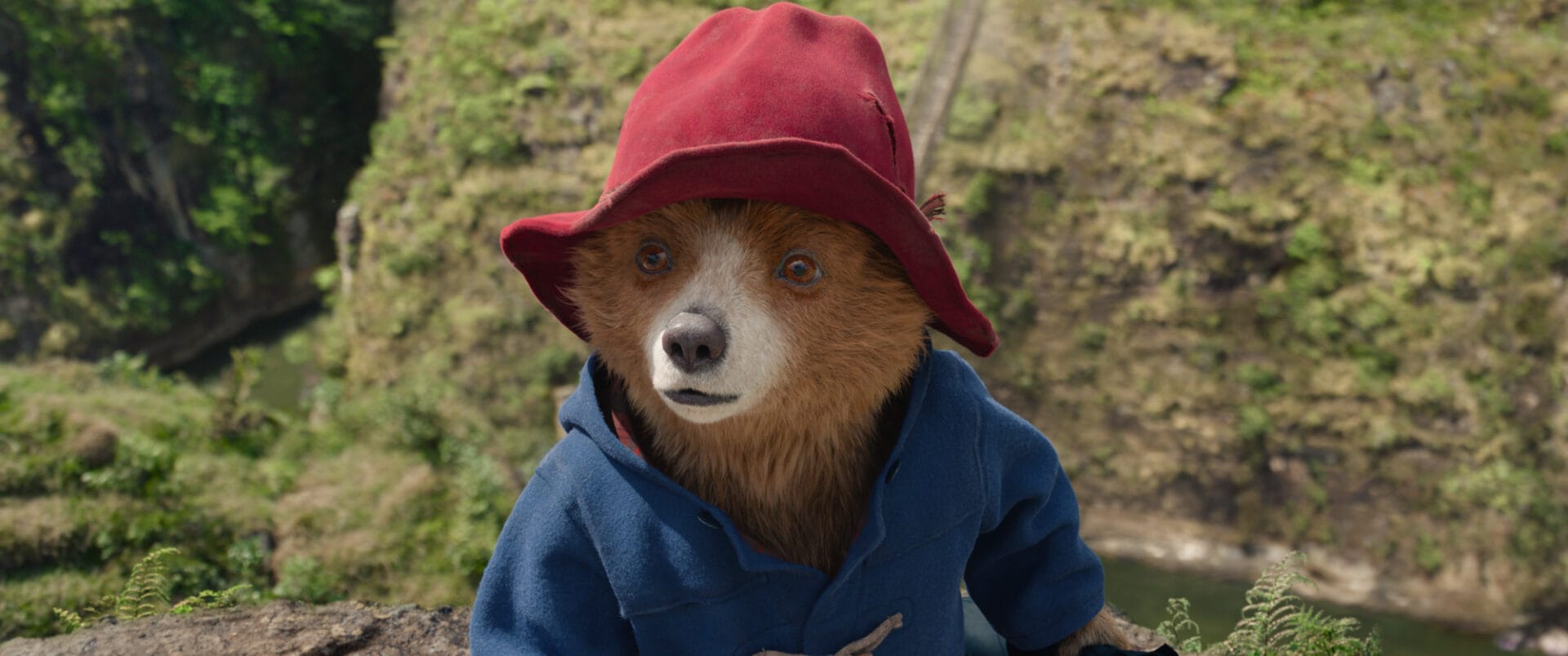 Paddington in Peru