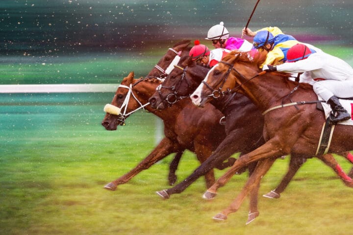 Race for the crown - I re delle corse di cavalli - Netflix