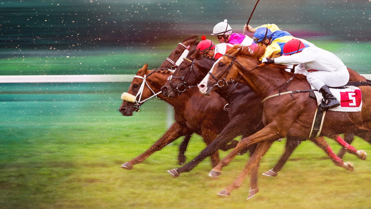 Race for the crown - I re delle corse di cavalli - Netflix