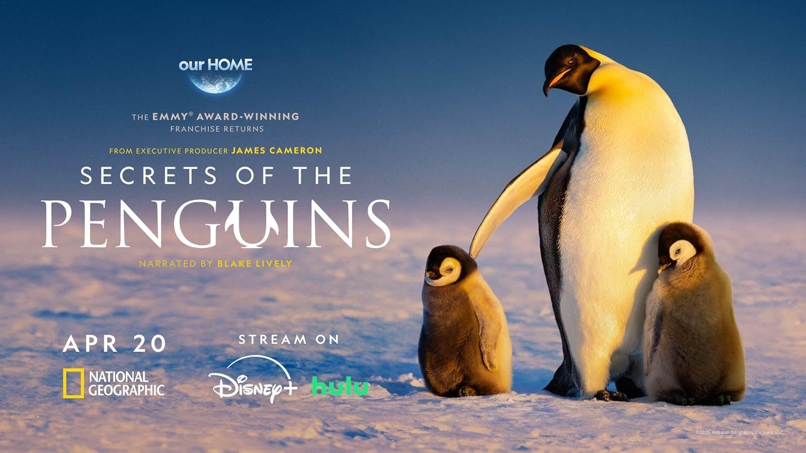 I segreti dei pinguini