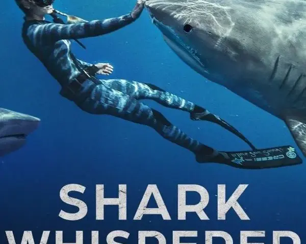 Shark Whisperer: nuotando con gli squali - Netflix