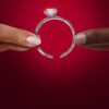 L'ultimatum: Queer Love ( – Netflix
