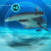 All the Sharks: in cerca di squali - Netflix