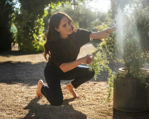With Love, Meghan