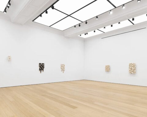 Installation view: Donald Moffett: Snowflake, Alexander Gray Associates, New York, 2025